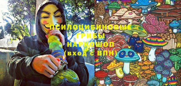 таблы Анива