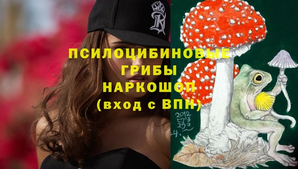 амф Коряжма