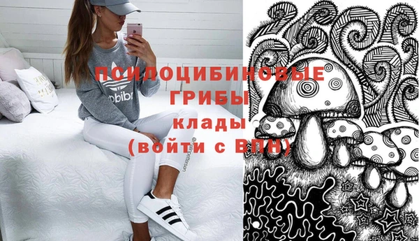 мдпв Анжеро-Судженск