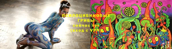 мдпв Анжеро-Судженск